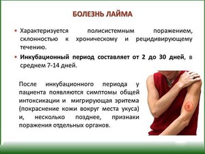 Клещевые болезни - сводная таблица