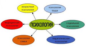 Происхождение слова психология