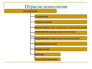 Какие есть отросли психологии
