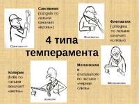 Характеристика типов темперамента