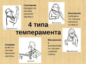 Характеристика типов темперамента