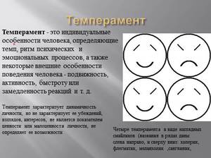 Основные типы темперамента