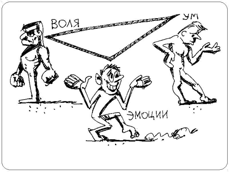 Разные люди Ум, логика, эмоции