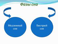 Фаза здорового сна
