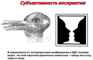 Действительность и ее восприятие разными людьми - субъективность