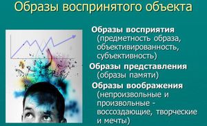  Образы воспринятого объекта - как мы видим мир.