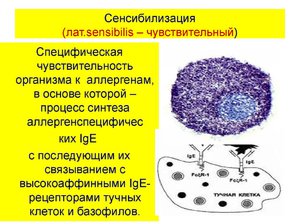 Как прнять термин сенсибилитация