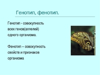 Что значит фенотип