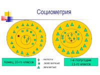 Социометрическая карточка