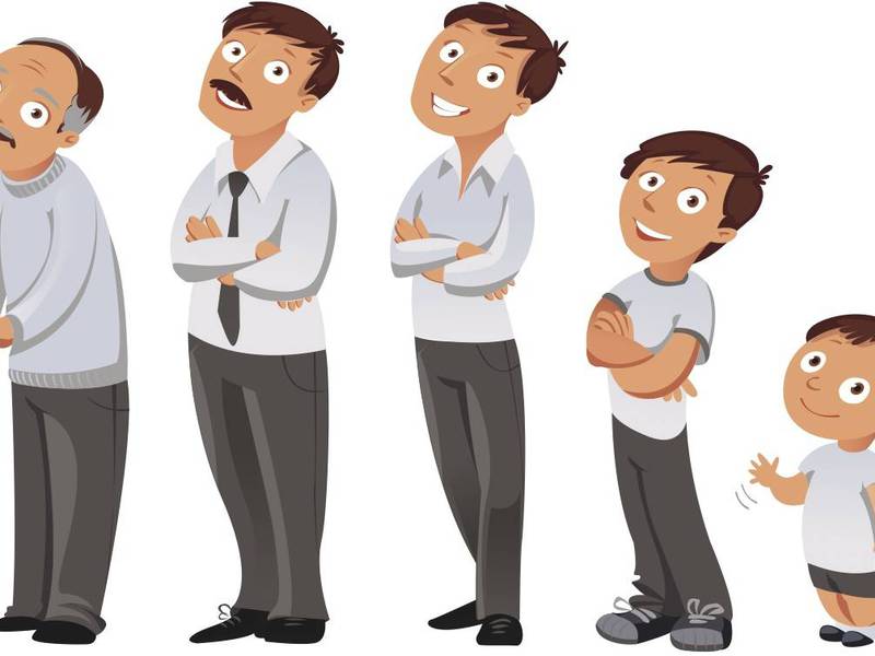 Жизненный цикл Психосоциальное развитие личности по эриксону