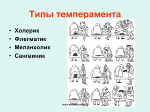 Какие профессии подошли бы холерику