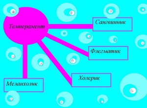 Что за тип темперамента холерик
