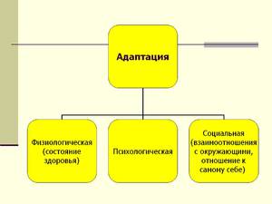 Уровни адаптации в школе