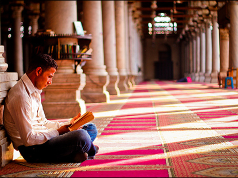 Читайте больше Изучайте литературу