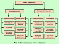 Что такое оперантное научение