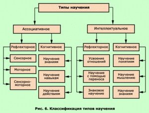 Что такое оперантное научение