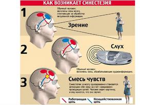 Объяснение понятия
