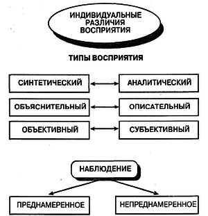 Какие различия восприятия наблюдаются у людей