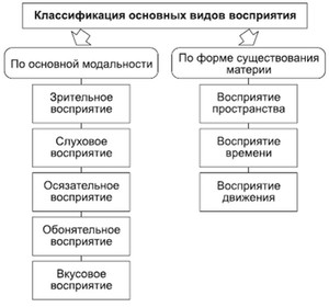 Зрительные и слуховые ощущения