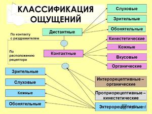 Восприятия человека